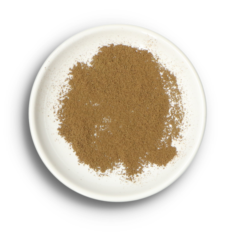 Hojicha Kyushu