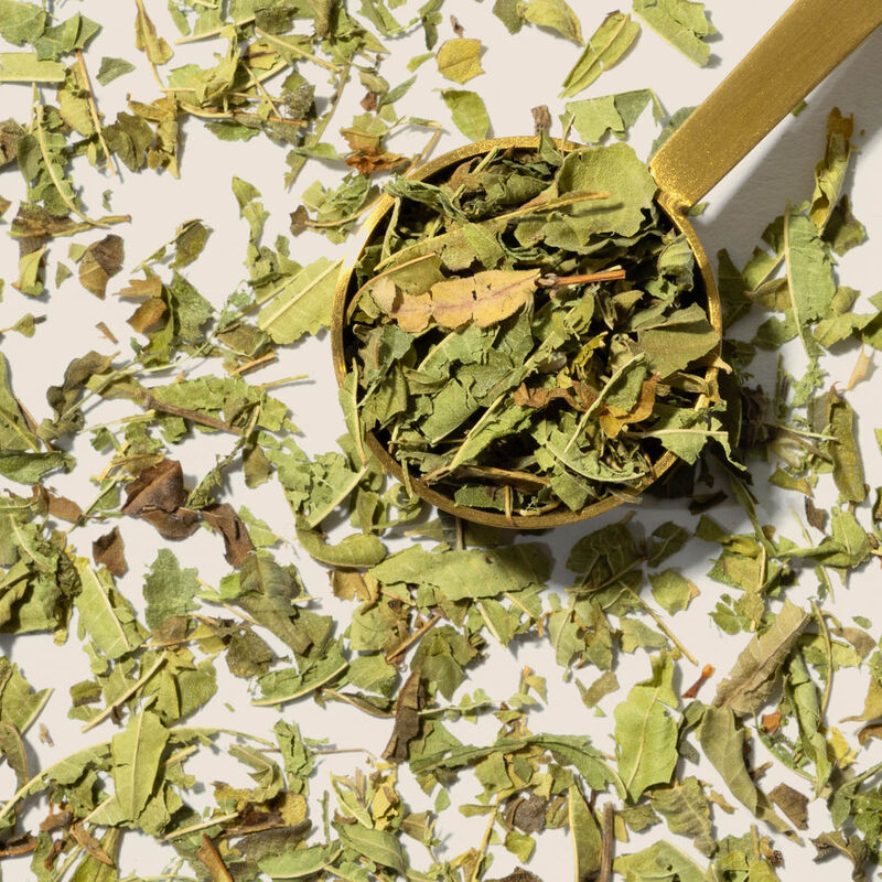 Verveine