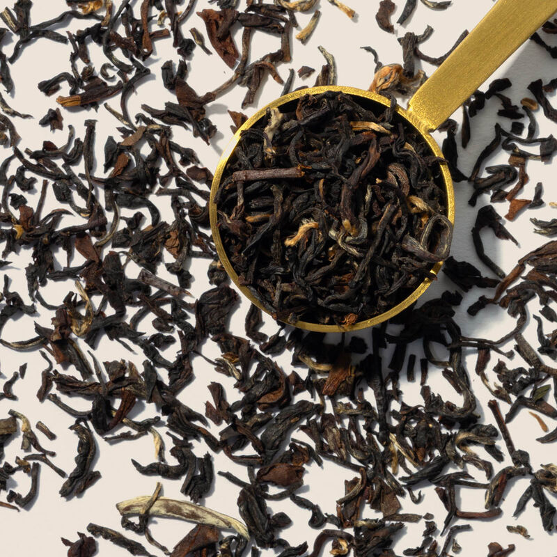 Seeyok Summer 2nd flush