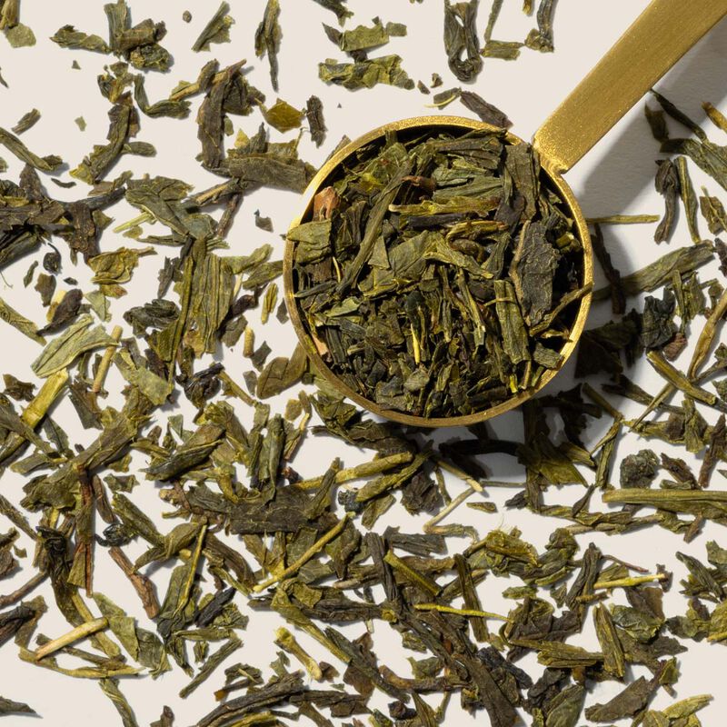 Sencha