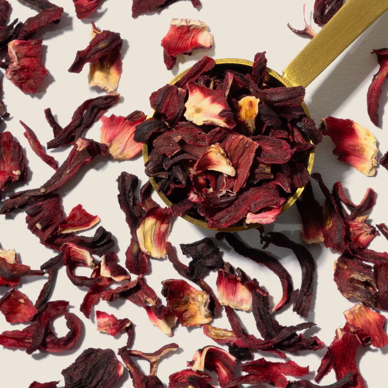 Hibiscus Bloesem