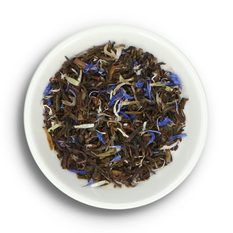 Jasmine Spring