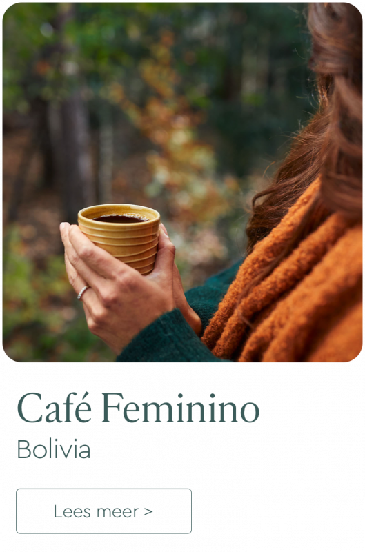 Cafe Feminino