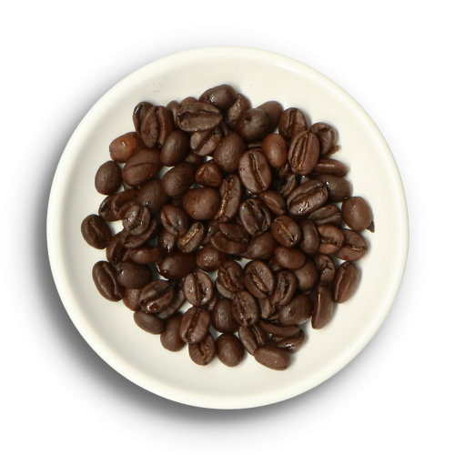 bezoeker Betuttelen argument Barista | Koffiebonen | Koffie | Simon Lévelt | Koffie en thee sinds 1826